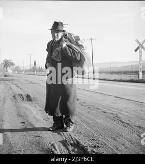 Napa Valley, California. Più di venticinque anni un bindle-rigido. Passeggiate dalle miniere ai campi di legname alle fattorie. Il tipo che formò la spina dorsale dei lavoratori Industriali del mondo (IWW) in California prima della guerra. Oggetto degli "Studi su IWW" di Carleton Parker. Foto Stock