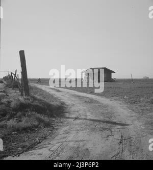 Sulle pianure ad ovest di Fresno, California. Foto Stock