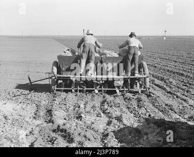 Agricoltura meccanizzata su larga scala. La piantatrice di patate operata da un equipaggio di tre uomini, fa le file, fertilizza e pianta patate in un'unica operazione. Kern County, California. Foto Stock