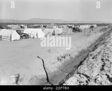 Campo di coltivazione per i raccoglitori su un grande ranch di piselli lungo la riva del fossato. I campi dei coltivatori nella Valle Imperiale e altrove sono stati molto migliorati quest'anno soprattutto a causa dell'influenza del programma di campi migratori FSA (Farm Security Administion). Vicino a Calipatria, Imperial Valley, California. Foto Stock