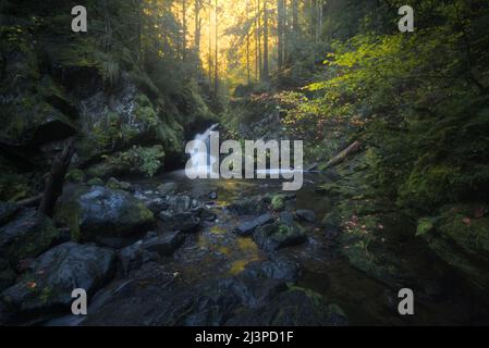 Ravennaschlucht, Foresta Nera, Germania Foto Stock