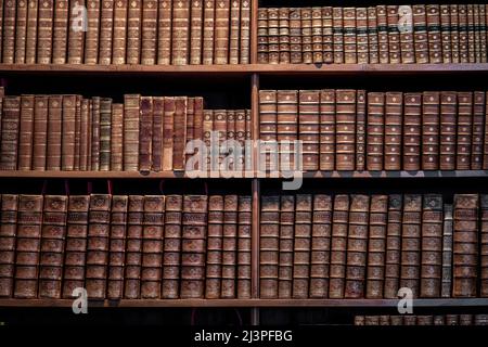 Scaffale e vecchi libri Foto Stock