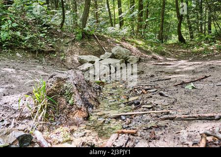 Fonte del fiume ruhr lungo il sentiero escursionistico Rothaarsteig in una piccola sorgente rocciosa nella foresta Foto Stock