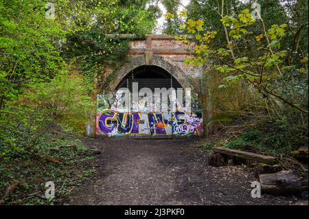 Dulwich, Londra, Regno Unito: L'ingresso a un tunnel ferroviario disutilizzato a Sydenham Hill Wood. La ferrovia in precedenza era in corso da Lordship Lane a Crystal Palace. Foto Stock