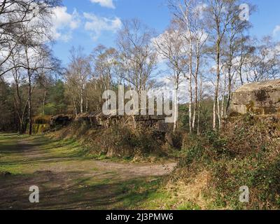 The Atlantic Wall un muro difensivo di addestramento del WW2 a Hankley Common, Thurley, Surrey, Inghilterra, Regno Unito. Foto Stock