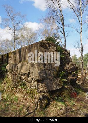 The Atlantic Wall un muro difensivo di addestramento del WW2 a Hankley Common, Thurley, Surrey, Inghilterra, Regno Unito. Foto Stock