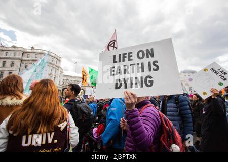 Londra, Inghilterra, Regno Unito. 9th Apr 2022. Fino a 1.000 attivisti della Rebellion d'estinzione hanno bloccato parte del West End di Londra, con Trafalgar Square e il London City Centre. La "rivolta di aprile", che dura fino all'aprile 17, mira a spingere il governo britannico a soddisfare immediatamente la domanda di porre fine immediatamente all'economia fossile e agli investimenti nei combustibili fossili. (Credit Image: © Sabrina Merolla/ZUMA Press Wire) Foto Stock