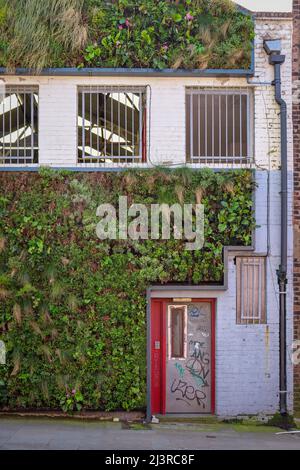 Liverpool Car Park con piante che crescono all'esterno / eco-edificio Foto Stock