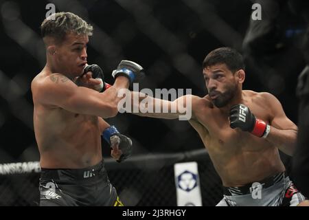 JACKSONVILLE, Florida - 9 APRILE: (R-L) Julio Arce pugna Daniel Santos nella loro lotta contro il peso delle catchweight durante l'evento UFC 273 alla Vystar Memorial Arena il 9 aprile 2022 a Jacksonville, Florida, Stati Uniti. (Foto di Louis Grasse/PxImages) Credit: PX Images/Alamy Live News Foto Stock