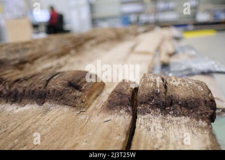 Halle, Germania. 07th Apr 2022. Le tavole di legno di una dugotta medievale dei primi giorni di Magdeburg si trovano nel deposito dell'Ufficio di Stato Sassonia-Anhalt per la conservazione dei monumenti e Archeologia. Il pezzo di legno di quercia, lungo circa sette metri, era un galleggiante di un traghetto ed è stato salvato dagli archeologi. Il pezzo è sopravvissuto circa 1200 anni nel fiume Elba. Dopo un bagno di conservazione speciale, il legno deve asciugare per altri sei mesi prima che le indagini scientifiche comincino. Credit: Sebastian Willnow/dpa/Alamy Live News Foto Stock