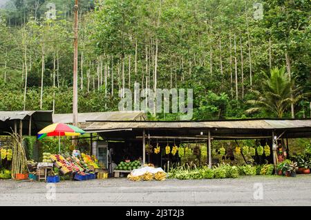 Mercato di strada con bancarelle di frutta tropicale in Via Colectora Cuenca-Puerto Inca (E582) a Tamarindo e cacao Loma, il confine tra Azuay e Guayas Foto Stock
