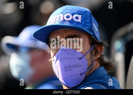 Albert Park, Melbourne, Australia. 10th Apr 2022. FIA Formula 1 Gran Premio d'Australia, Race Day: Fernando Alonso di Spagna e Alpine F1 raffigurato durante la sfilata piloti Credit: Action Plus Sports/Alamy Live News Foto Stock