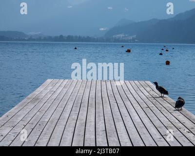 Vista panoramica di un lago australiano con molo in legno e catena montuosa sullo sfondo. Salzkammergut Austria superiore Foto Stock