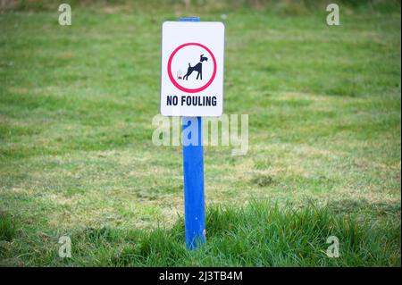 Nessun cartello per i proprietari di cani nel parco pubblico Foto Stock