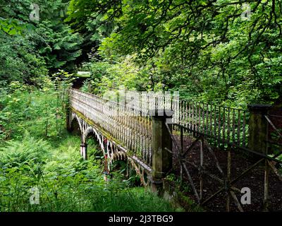 La vecchia passerella in ferro di Stracathro House nascosto nel bosco denso la sua vernice peeling coperto di muschio e alghe. Foto Stock