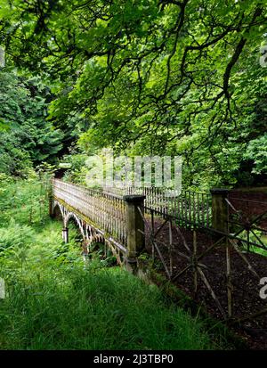 Il ponte pedonale Old Iron di Stracathro House nascosto in un bosco denso nell'Aberdeenshire, cresciuto con alberi e felci. Foto Stock