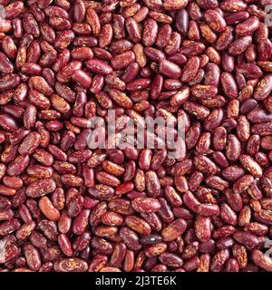 Fondo di fagioli rossi secchi di pinto Foto Stock