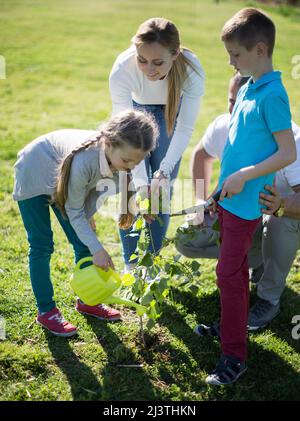 Famiglia genitori e bambini piantare alberi in siping nel parco estivo Foto Stock