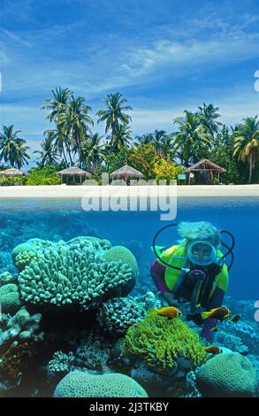 Immagine divisa, sopra sotto, subacqueo in una barriera corallina di fronte all'isola maldivia Mirihi, Ari Atoll, Maldive, Oceano Indiano, Asia Foto Stock