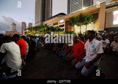 A causa della crisi economica, il numero di proteste organizzate dalla comunità giovanile contro il presidente dello Sri Lanka Gotabhaya Rajapaksa è aumentato giorno dopo giorno. Un gran numero di giovani si è riunito ieri davanti al Segretariato Presidenziale e ha organizzato una protesta chiamata 'Go Home Gota'. All'evento hanno partecipato Sinala, le comunità tamil e musulmane, nonché i turisti stranieri. 'Si potrebbe vedere che i muslims praticavano la loro religione e tutti i manifestanti potevano vedere la loro estasi.; sicurezza speciale è stato dispiegato intorno al luogo. (Foto di Hirantha Gunathila Foto Stock