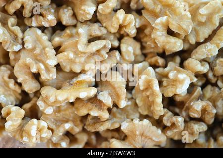 Molte metà di fresco appetitoso sfondo noce primo piano Foto Stock