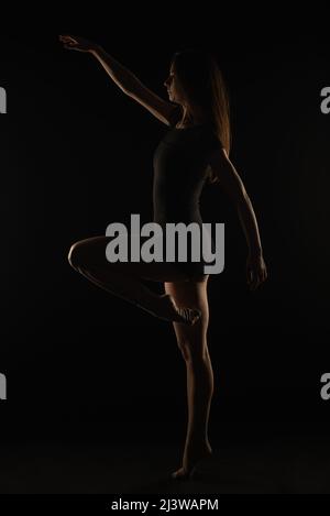 La giovane ballerina femminile tiene una bella postura mentre si bilancia n una gamba Foto Stock