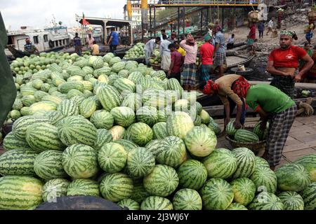 Commercianti che scaricano i cocomeri a Badamtolifrom, il più grande marcatore di frutta del paese da una barca che lo ha trasportato da Patuakhali per distribuirlo Foto Stock