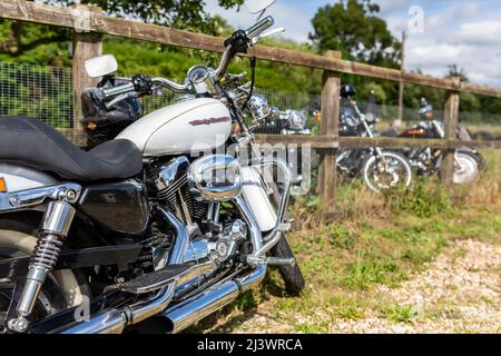 Woodbridge Suffolk UK August 14 2021: Una classica 2006 Harley-Davidson XL 1200 C Custom Sport motocicletta in mostra ad un incontro bikers Foto Stock