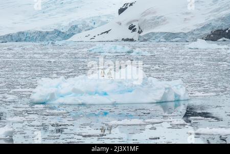 Paesaggio di ghiaccio, neve, ghiacciaio e iceberg dell'Antartide Foto Stock