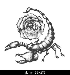 Tatuaggio di Scorpione e fiore di rosa disegnato in stile engraving isolato su bianco. Illustrazione vettoriale. Illustrazione Vettoriale