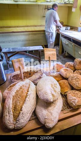Baker al lavoro fare il pane nel panificio artigianale di ' A ' nella Norvegia occidentale Lofoten Isole Foto Stock