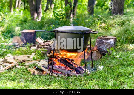 Sopra fuoco pentola appeso per cibo nella foresta Foto Stock