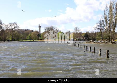 Forti venti primaverili si snodano sul lago di Regents Park, guardando verso la Moschea Centrale, a Londra, Regno Unito Foto Stock