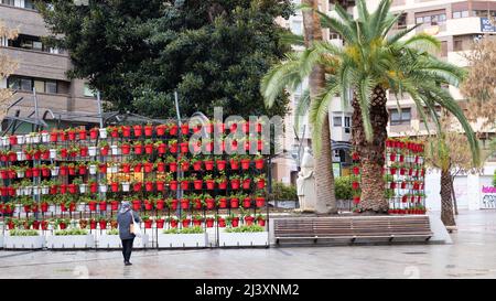 Murcia, Spagna - 30 marzo 2022: Scena di strada con gantry di vasi colorati di fiori rossi città interna Murcia in Spagna in un giorno di pioggia Foto Stock