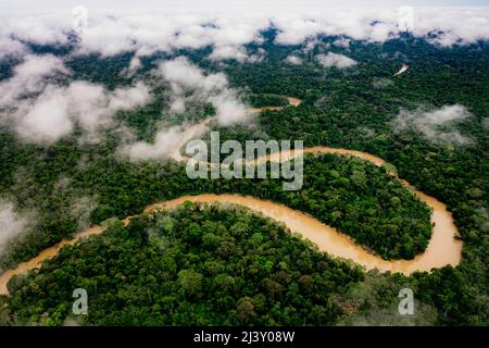 Fucilazione aerea del drone della foresta pluviale Amazzonica ecuadoriana Foto Stock
