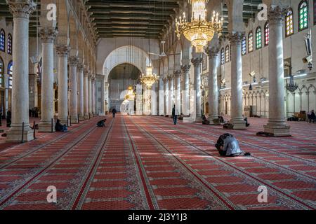 Incontro di preghiera moschea Umayyad, Damasco, Siria Foto Stock