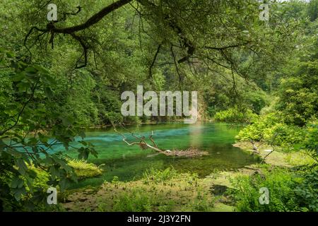 Bella primavera turchese Blue Eye o Syri i Kalter vicino Muzine città in Albania Foto Stock