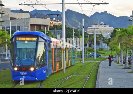 Tram che si avvicina Intercambiador (stazione principale dei tram e degli autobus) a Santa Cruz de Tenerife Isole Canarie Spagna. Foto Stock