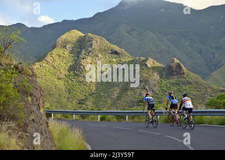 Ciclisti sulla strada TF-12 attraverso i Monti Anaga nel nord-est di Tenerife Isole Canarie Spagna. Foto Stock