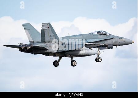 Un McDonnell Douglas CF-18 Hornet jet da combattimento della Royal Canadian Air Force. Foto Stock