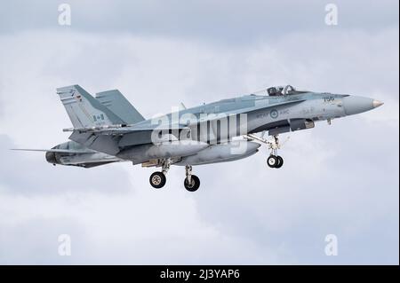 Un McDonnell Douglas CF-18 Hornet jet da combattimento della Royal Canadian Air Force. Foto Stock