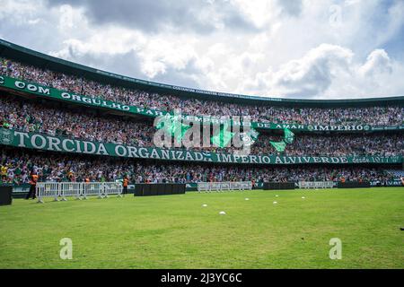 Curitiba, Brasile. 10th Apr 2022. PR - Curitiba - 04/10/2022 - BRASILIANO A 2022, CORITIBA X GOIAS - Coritiba tifosi durante una partita contro Goias allo stadio Couto Pereira per il campionato brasiliano A 2022. Foto: Robson Mafra/AGIF Credit: AGIF/Alamy Live News Foto Stock