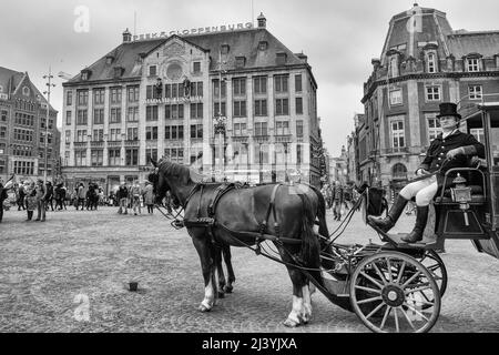 AMSTERDAM, PAESI BASSI, 3 GIUGNO 2016: Vista di una carrozza con cavalli e degli edifici storici di Amsterdam, Paesi Bassi, il 3 giugno 2016. Foto Stock