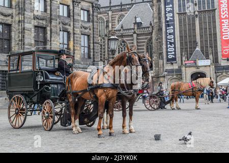 AMSTERDAM, PAESI BASSI, 3 GIUGNO 2016: Vista di una carrozza con cavalli e degli edifici storici di Amsterdam, Paesi Bassi, il 3 giugno 2016. Foto Stock