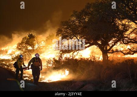 Texas state Forrest Service, Fredricksburg Task Force sciopero squadra vigili del fuoco, camminare la linea di cresta di un 'burn-out' controllato che è stato iniziato a gestire l'area di un grande incendio selvaggio 9 aprile 2022 a Joint base San Antonio - campo Bullis demolition Range area. JBSA-Camp Bullis comprende oltre 27.000 ettari di campi, aree di addestramento e terre selvatiche sul lato nord di San Antonio ed è un luogo di addestramento cruciale per i membri di servizio della Joint base di San Antonio. (STATI UNITI Air Force foto di Brian Boisvert) Foto Stock