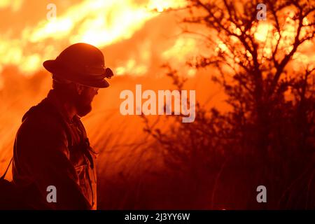 Cody, Texas state Forrest Service, Fredricksburg Task Force sciopero squadra pompiere, sondaggi un 'burn-out' controllato che è stato iniziato a gestire l'area di un grande incendio selvaggio 9 aprile 2022 a Joint base San Antonio - campo Bullis demolizione gamma area. JBSA-Camp Bullis comprende oltre 27.000 ettari di campi, aree di addestramento e terre selvatiche sul lato nord di San Antonio ed è un luogo di addestramento cruciale per i membri di servizio della Joint base di San Antonio. (STATI UNITI Air Force foto di Brian Boisvert) Foto Stock