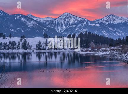 Oche del Canada, tramonto invernale, lago Wallowa, Oregon Foto Stock