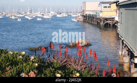 Colorate case di legno su pali o colonne, baia o porto oceano, acqua di mare. Vecchio Fisherman's Wharf. Barche a vela, barche a Monterey Marina, California costa USA. Lungomare turistico, fiori. Foto Stock