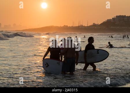 Surfers in acqua durante il tramonto a Punta del Este, Uruguay Foto Stock