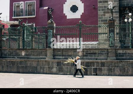 Gli artigiani vendono figure di palme durante la celebrazione della Domenica delle Palme fuori dalla Cattedrale di Puebla Foto Stock